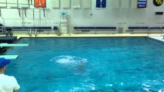 Ali House - Diving 303B