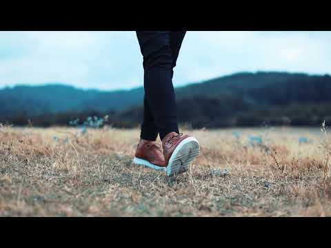 آهنگ جدید شاد مازندرانی یاسر واحدی