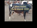 Taxila Mandi Rates 23-7-2020