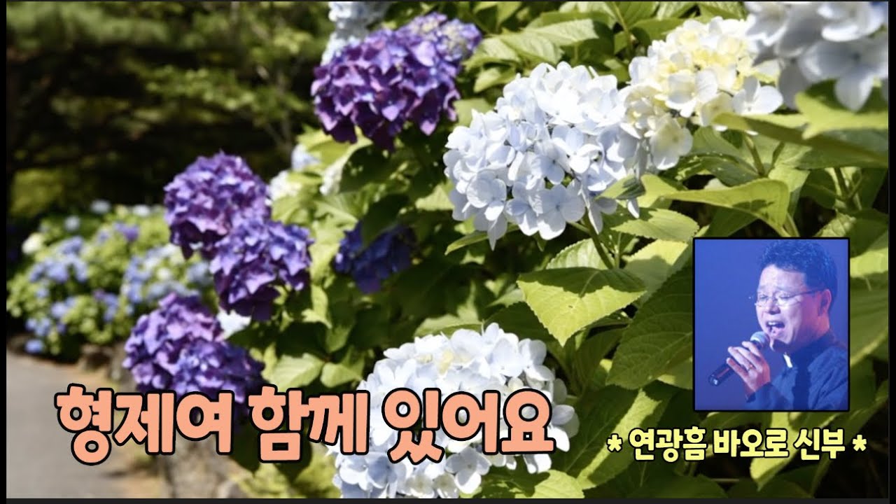 형제여 함께 있어요 *연광흠 바오로 신부*