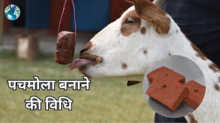 पचमोला बनाने की विधि