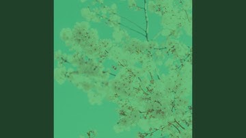 Pulsating Ambience for Calming Moments