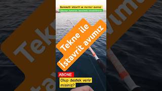 Teknede Balık Avı Yaptık I Tekne Ile Istavrit Avımız