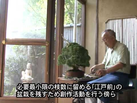 清香園美術盆栽 日本の粋、江戸の粋  /いしずえ/山田登美男（大型本） 清香園美術盆栽 日本の粋、江戸の粋 /いしずえ/山田登美男（大型本）