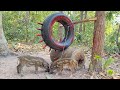 Build Wild boar Trap Using with Tires Fall in to #shortvideo
