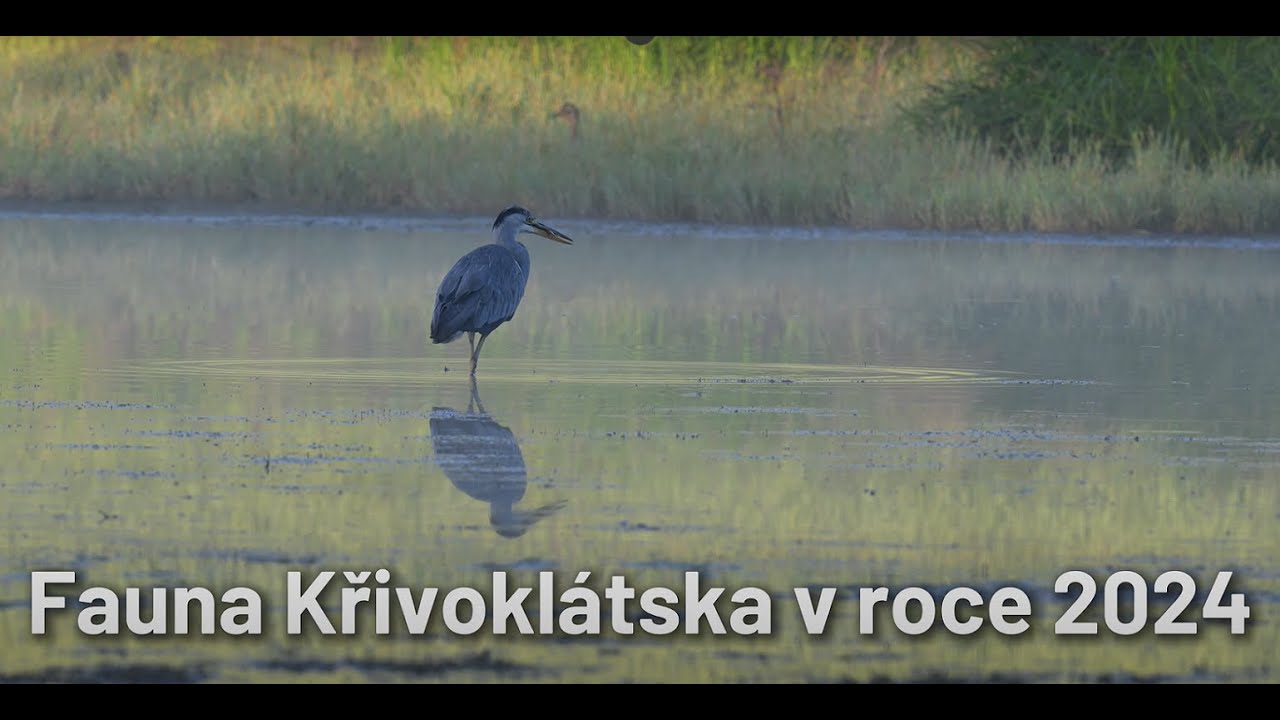 CHKO Křivoklátsko 2024