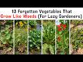 13 نوع ا من الخضراوات المنسية التي تنمو كالأعشاب الضارة حلم البستاني الكسول