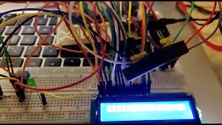 Celebrity Lab 11 interfacing Net Worth