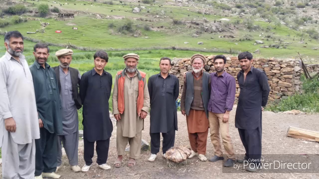 bulachi HD MEDIUM FR300