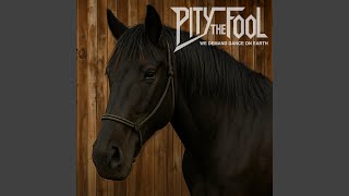 Watch Pity The Fool We Demand Dance On Earth video