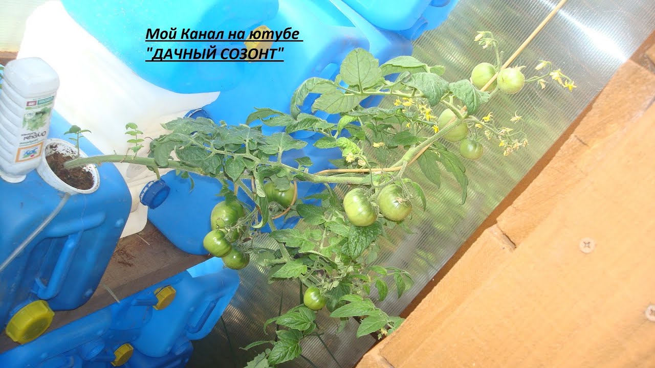 Аэропоника (гидропоника) ответы на вопросы.