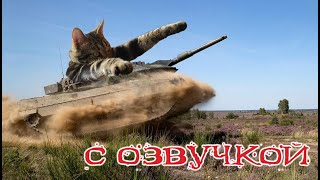 Приколы С Котами! Коты Танкисты! Самые Смешные Животные С Озвучкой!