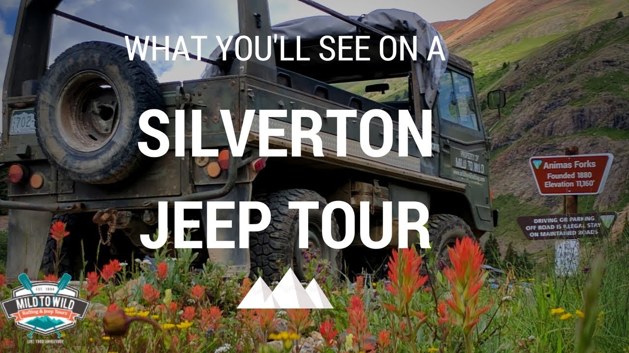 Silverton Jeep Tour Explore Colorado Rocky Mountain Peaks & Wildlife