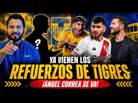 REFUERZOS DE TIGRES / Angel Correa se va / Gignac / Actualidad del equipo