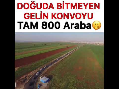 Doguda bitmeyen gelin konvoyu tam 800 araba