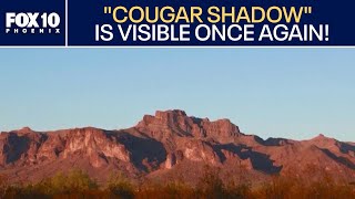 Celebrity 'Cougar Shadow' returns to Superstition Mountains | FOX 10 Phoenix Profile