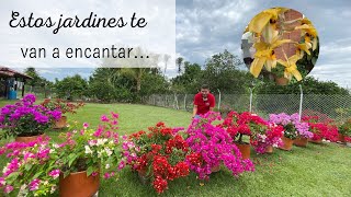 DOS JARDINES EN EL CAMPO COLOMBIANO | LA MAGIA DE LAS PLANTAS.💐❤️😱