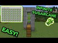 EASIEST 1.20 FAST AUTOMATIC SUGARCANE FARM TUTORIAL in Minecraft Bedrock (MCPE/Xbox/PS4/Switch/PC)