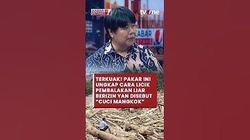 TERKUAK! Ini Cara Licik Pembalakan Liar Berizin yang Disebut "Cuci Mangkok" #banjir #longsor #