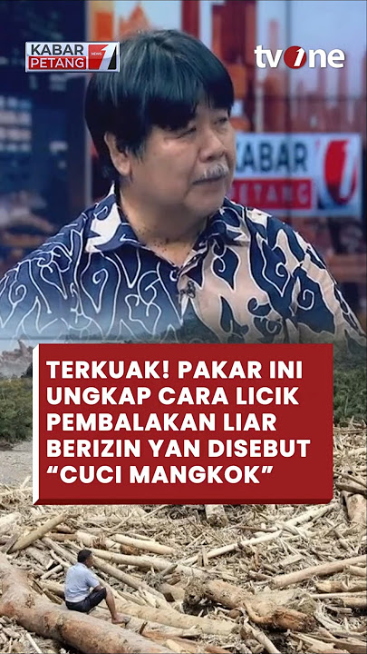 TERKUAK! Ini Cara Licik Pembalakan Liar Berizin yang Disebut 