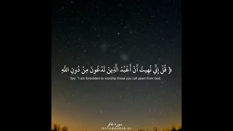 القارئ احمد العبيد