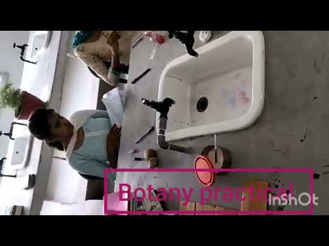 #botany JNM COLLEGE,
