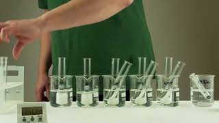 The Effect of Temperature on Enzyme Activity