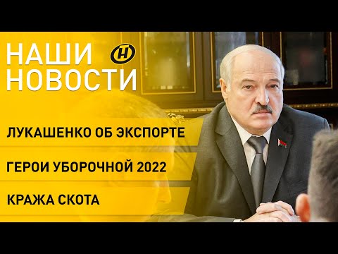 Новости сегодня: Лукашенко о морском порте; жатва-2022; хищение скота; подготовка к школе