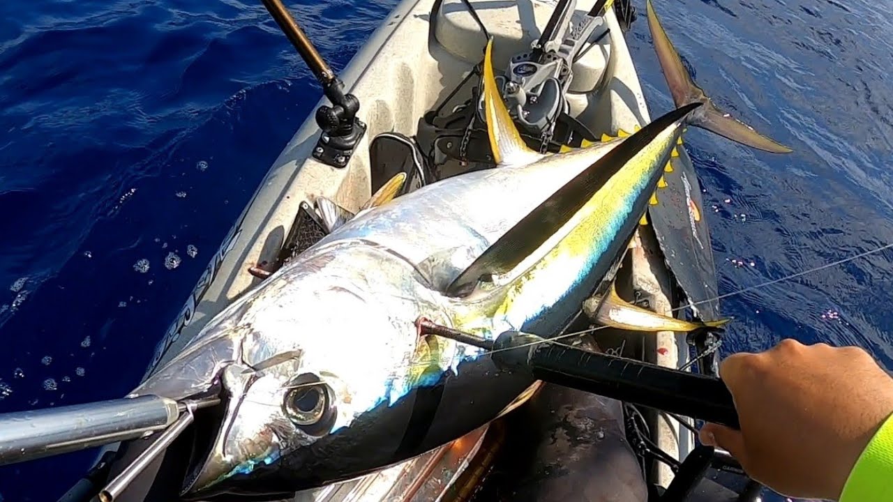 Рыбалка с каяка на Гавайях: когда клёв внезапно усиливается! Рекордный желтопёрый тунец