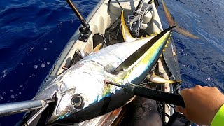Hawaii Kayak Fishing: When the bite suddenly turns on! PB Yellowfin Tuna