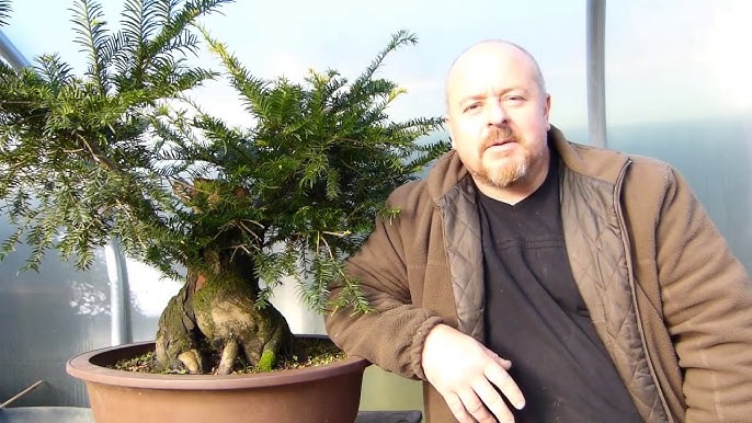 Instant - Bonsai - For - Everyone: Bonsai expert Graham Potter on air  pruning pots for bonsai