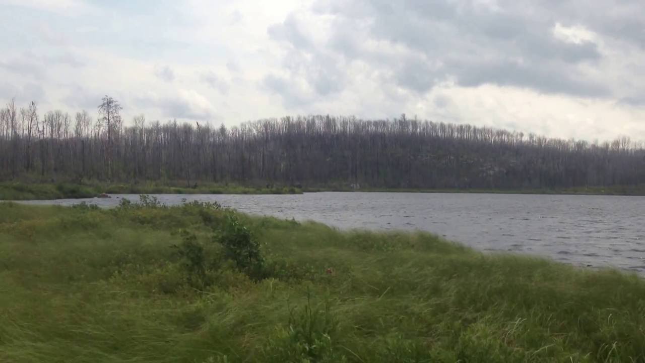 Spinnan Lake - View east across a windy lake from lakes western shore in Weasel Lake PMA in BWCA