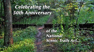 50th Anniv NST CompilationVideo
