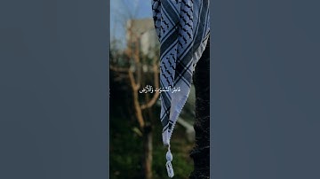 قرآن كريم #اللهم_صل_وسلم_على_نبينا_محمد