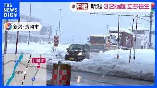 【中継】新潟・国道8号で車が動き始める　雪でスタックする車などの影響除雪進まず（午前7時55分現在）｜TBS NEWS DIG