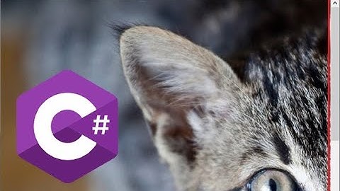 How to Create Scrollable PictureBox Control in C#