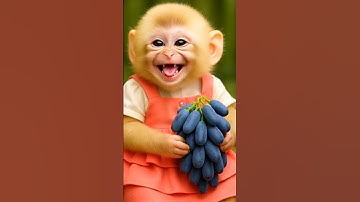 This monkey is eating grapes 🍇🍇