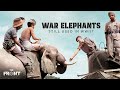 The Forgotten Elephant Combat Unit of WW2 - How One Elephant Trainer Guided the Allies Through Burma