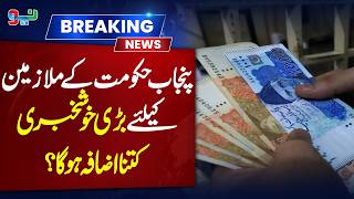 Big Relief for Punjab Government Employees: How Much Will Salaries Increase? #breakingnews