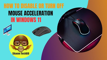 How To Disable or Turn Off Mouse Acceleration in Windows 11