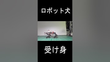 #robot #robotics #電子工作 #ESP32  #m5stack #ロボット  #ロボット犬