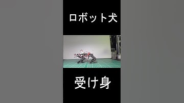 #robot #robotics #電子工作 #ESP32  #m5stack #ロボット  #ロボット犬