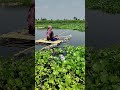 বড়শি দিয়ে টানে টানে পুটি মাছ ধরা । Hook Fishing Video P-5 #মাছধরা #fishing #hookfishing