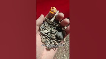 Solid Waste Recycling and Efficient Sorting Machine #separation #sortingmachine #gravityseparator