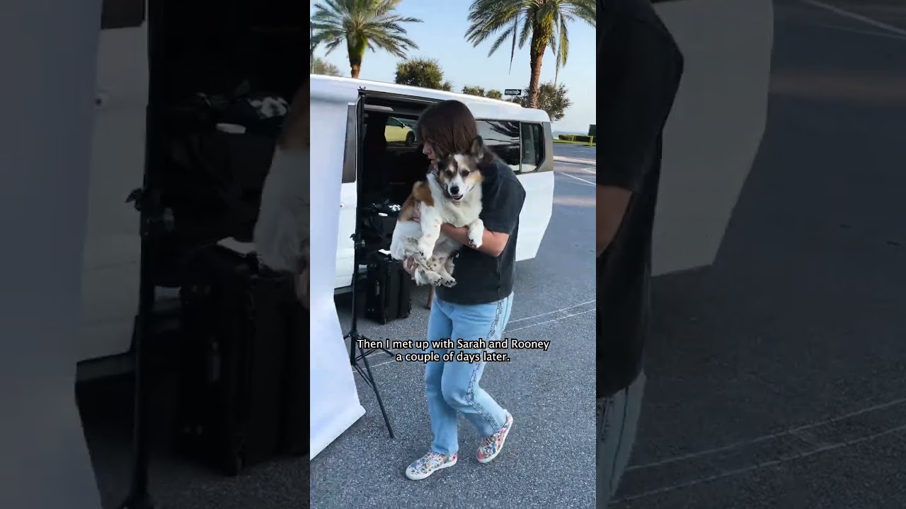 First pet project update! 