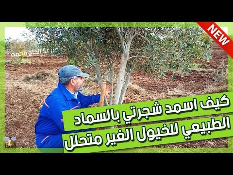 فيديو: روث الخيل - إيجابيات وسلبيات