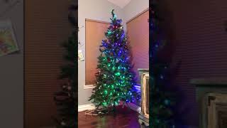 xmas tree rainbow