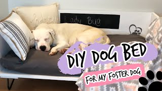 DIY Dog Bed for My Foster Dog