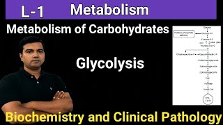 Metabolism (Glycolysis) (L-1)