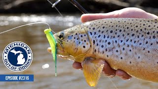 Trout Fishing, Sucker Fishing, Jig Tips; Michigan Out of Doors TV #2316